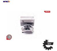 ESEN SKV 94SKV041 Blower motor resistor