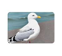 ResKiu Cute Seagull Strong Anti-Slip Doormat,Front Door Mat Outdoor Entrance,Printed Pattern Rug,Door Mat Funny