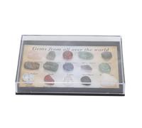 Respicefinem Rock Stone Collection Kit for Kids - Exquisite Science Classroom Educational Set with 12 Labeled Mineral Specimens in Transparent Display Box for Young Geologists (Type 3)