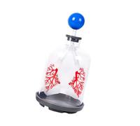 Respiratory Model for Demonstrating Diaphragm Action and Exchange in Medicals Teaching Use Easy to Maintain Lung Exchange Model