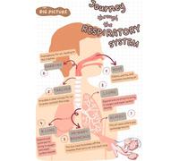 Respiratory System Anatomy Poster Human Physiology Educational Chart for Medical Nursing Students Biology Classroom Decor(Unframed,16x24inch(40x60cm))