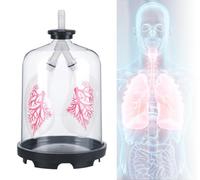 Respiratory System Model, Lung Breathing Model, Diaphragm Movement Simulation Demonstrator, Biology Teaching Aids, for Science Classroom Study Display Teaching Biologic