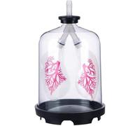 Respiratory System Model, Lung Breathing Model Diaphragm Movement Simulation Demonstrator Biology Teaching Aids for Science Classroom Study Display Teaching Biologic Lung Breathing