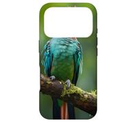 Resplendent Quetzal sitting on a Tree Branch Cute Beautiful Case for iPhone 17 Pro