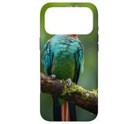 Resplendent Quetzal sitting on a Tree Branch Cute Beautiful Case for iPhone 17 Pro Max