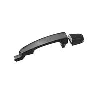 RESPUNEKBAH Rear Left/Rear Right Exterior Outside Door Handle for Kia for Sportage 2005 2006 2007 2008 2009 2010 (Rear Left)