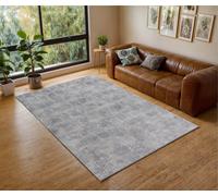 Rest Relax Seurat Large Indoor Rug 200 X 290Cm