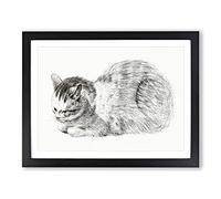 Restful Cat By Jean Bernard Vintage Framed Wall Art Print, Ready to Hang Picture for Living Room Bedroom Home Office Décor, Black A2 (64 x 46 cm)