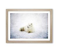 Resting Arctic Fox Painting Framed Print | A2 Oak Framed Wall Art | Ready to Hang | Modern Animal Picture | Living Room Bedroom Lounge Office