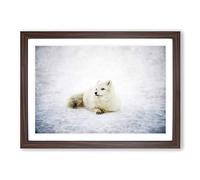 Resting Arctic Fox Painting Framed Print | A2 Walnut Framed Wall Art | Ready to Hang | Modern Animal Picture | Living Room Bedroom Lounge Office