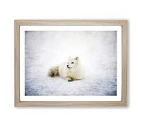 Resting Arctic Fox Painting Modern Art Framed Print | A2 Oak Framed Wall Art | Ready to Hang | Modern Animal Picture | Living Room Bedroom Lounge Office