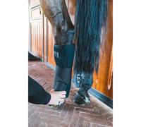 Resting belts for horses Kentucky