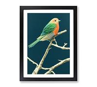 Resting Bird Framed Print | A2 Black Framed Wall Art | Ready to Hang | Modern Nature Picture | Living Room Bedroom Lounge Office