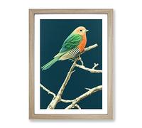 Resting Bird Framed Print | A2 Oak Framed Wall Art | Ready to Hang | Modern Nature Picture | Living Room Bedroom Lounge Office