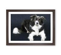 Resting Border Collie Dog Framed Print | A2 Walnut Framed Wall Art | Ready to Hang | Modern Animal Picture | Living Room Bedroom Lounge Office