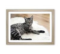 Resting Cat Framed Print | A2 Oak Framed Wall Art | Ready to Hang | Modern Animal Picture | Living Room Bedroom Lounge Office