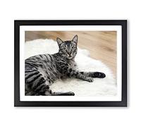 Resting Cat Modern Framed Print | A2 Black Framed Wall Art | Ready to Hang | Modern Animal Picture | Living Room Bedroom Lounge Office
