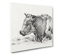 Resting Cow by Jean Bernard Canvas Print | Gallery Wrapped 30mm Frame Wall Art | 14x14 inches | Ready to Hang | Modern Animals Picture | Living Room Bedroom Lounge Office