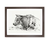 Resting Cow By Jean Bernard Vintage Framed Print | A3 Walnut Framed Wall Art | Ready to Hang | Classic Animal Picture | Living Room Bedroom Lounge Office