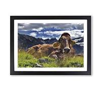 Resting Cow on The Alps Landscape Framed Print | A2 Black Framed Wall Art | Ready to Hang | Modern Animal Picture | Living Room Bedroom Lounge Office
