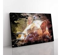 Resting French Bulldog Dog Modern CB Canvas Wall Art Print Ready to Hang, Framed Picture for Living Room Bedroom Home Office Décor, 50x35 cm (20x14 Inch)