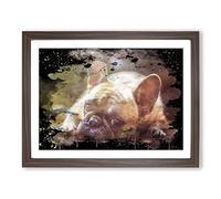 Resting French Bulldog Dog Modern CB Framed Wall Art Print, Ready to Hang Picture for Living Room Bedroom Home Office Décor, Walnut A3 (46 x 34 cm)