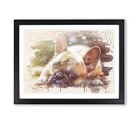 Resting French Bulldog Dog Modern FC Framed Wall Art Print, Ready to Hang Picture for Living Room Bedroom Home Office Décor, Black A2 (64 x 46 cm)