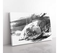 Resting French Bulldog Dog V1 Modern Canvas Wall Art Print Ready to Hang, Framed Picture for Living Room Bedroom Home Office Décor, 76x50 cm (30x20 Inch)