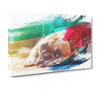 Resting French Bulldog Dog V2 Canvas Print for Living Room Bedroom Home Office Décor, Wall Art Picture Ready to Hang, 30 x 20 Inch (76 x 50 cm)