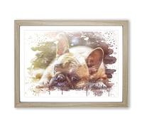 Resting French Bulldog Dog V3 Modern Framed Wall Art Print, Ready to Hang Picture for Living Room Bedroom Home Office Décor, Oak A4 (34 x 25 cm)