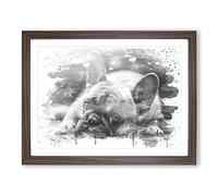 Resting French Bulldog Dog V4 Modern Framed Wall Art Print, Ready to Hang Picture for Living Room Bedroom Home Office Décor, Walnut A4 (34 x 25 cm)