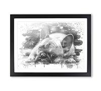 Resting French Bulldog Dog V4 Modern Framed Wall Art Print, Ready to Hang Picture for Living Room Bedroom Home Office Décor, Black A4 (34 x 25 cm)
