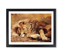 Resting Lion Modern Framed Print | A2 Black Framed Wall Art | Ready to Hang | Modern Animal Picture | Living Room Bedroom Lounge Office