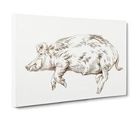Resting Pig By Jean Bernard Canvas Print | Gallery Wrapped 30mm Frame Wall Art | 30x20 inches | Ready to Hang | Retro Animals Picture | Living Room Bedroom Lounge Office