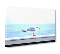 Resting Seagull Bird Seascape Canvas Print | Gallery Wrapped 30mm Frame Wall Art | 30x20 inches | Ready to Hang | Modern Animals Picture | Living Room Bedroom Lounge Office