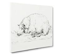 Resting Sheep by Jean Bernard Canvas Print | Gallery Wrapped 30mm Frame Wall Art | 20x20 inches | Ready to Hang | Modern Animals Picture | Living Room Bedroom Lounge Office