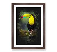 Resting Toucan Paint Splash Framed Print | A2 Walnut Framed Wall Art | Ready to Hang | Modern Nature Picture | Living Room Bedroom Lounge Office