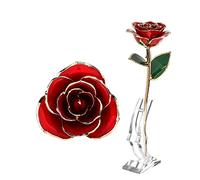 Restokki Gold Dipped Rose, 24K Gold Rose with Transparent Stand Everlasting Long Stem Real Rose Romantic Gift for Mothers Day Christmas Birthday Best Anniversary for Her