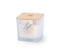 RESTORE Large Soy Wax Candle - Blissful Oasis in Cool White RESTORE Cool White