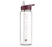 Restore Triton Straw Sipper, Water Bottles With Straw, Race Flip Top Tracker Bottle, Leak Proof BPA Free Integrated Carry Hook On Lid Design (Winter Berry, 700ml)