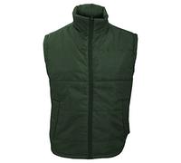 Result R208X Core Bodywarmer - Bottle, Large