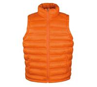Result Urban Ice Bird Padded Gilet RS193M