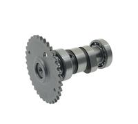 RESV Camshaft Rocker Arm Compatible With Agility 125 Film XL 125 125 150 200 GP110 VP110 CK110T A D E Models(Camshaft)