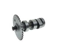 RESV Rocker Arm Compatible with CH250 ELITE Freeway 250 250cc Motorcycle 1989-1997 Models Compatible With 14100-KAB-000 14100-KAB-010 14431-KAB-000 Camshaft Parts(Camshaft)