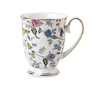 rethyrel Rose Garden Fine Bone China Mug Bone Porcelain Classic Breakfast Cup Euro Style Art Tea Cup Coffee Mug For Breakfast Home Kitchen (luxuriant)
