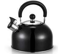 Retoo Kettle Induction 2.5 L, Whistling Tea Kettle with Handle, Black Stainless Steel for All Hob Types