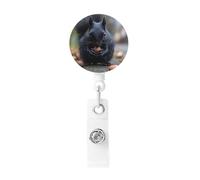 Retractable Black Squirrel Badge Holder, Retractable Badge Reel Clips and Id Card Holder, Suit for Offices, Teachers, Students, Nurses.