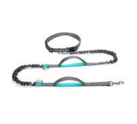 Retractable Bungee Dog Leash - Aqua Dual Handle Lead for Large Dogs on the Run
