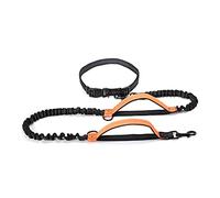 Retractable Bungee Dog Leash with Dual Handles for Large Dogs - Ideal for Running and Walking - Vibrant Orange Color