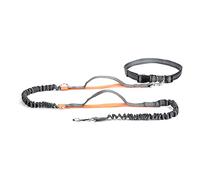 Retractable Bungee Leash: Dual Handle, Ideal for Large Dogs, Perfect for Running (Orange)